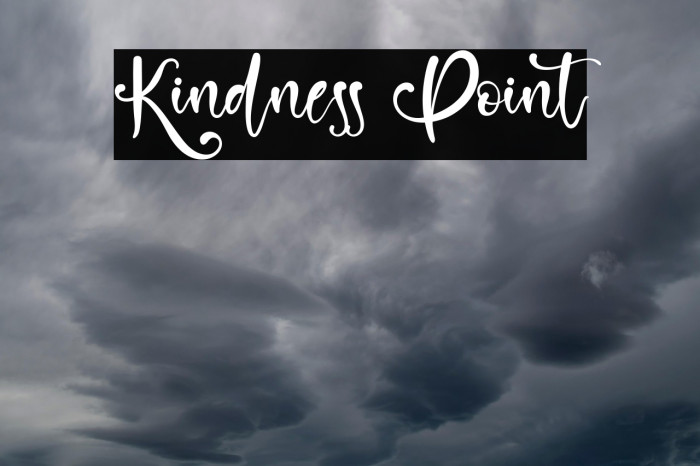 Kindness Point Example 1