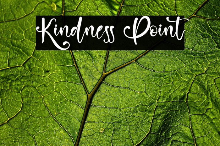 Kindness Point Example 2