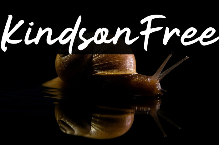 KindsonFree Example 1