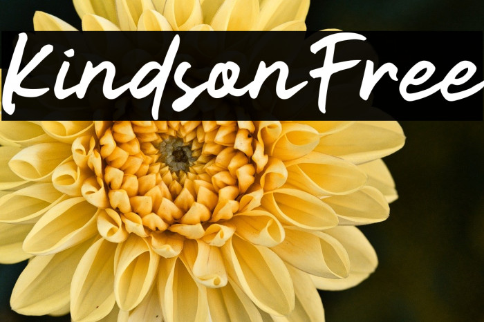 KindsonFree Example 2