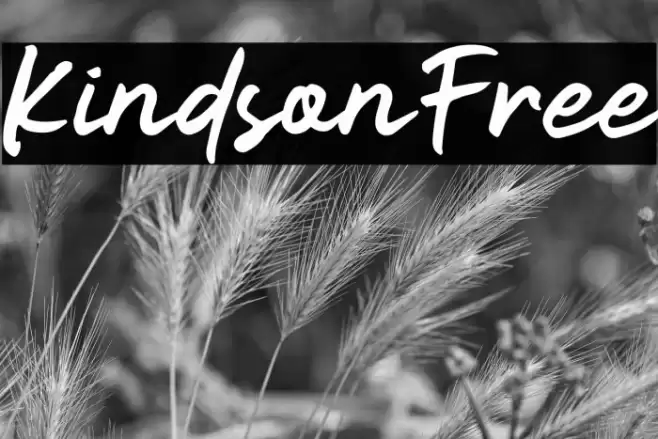 KindsonFree Font examples