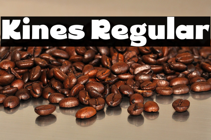 Kines Regular Example 2