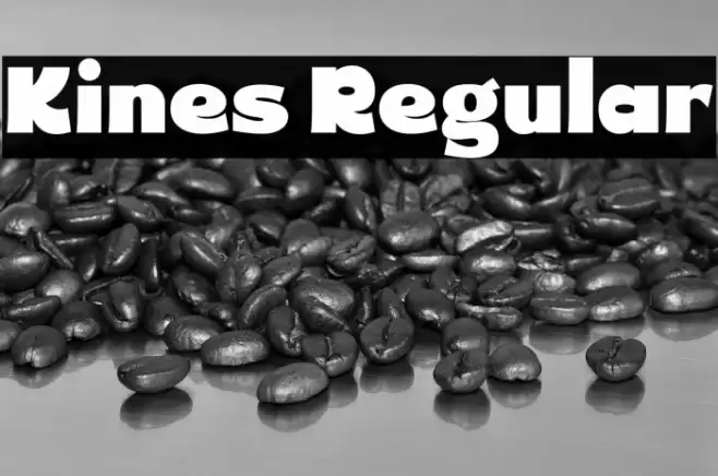 Kines Regular Caratteri examples