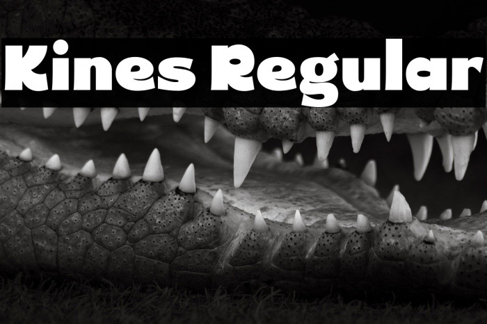 Kines Regular Example 3