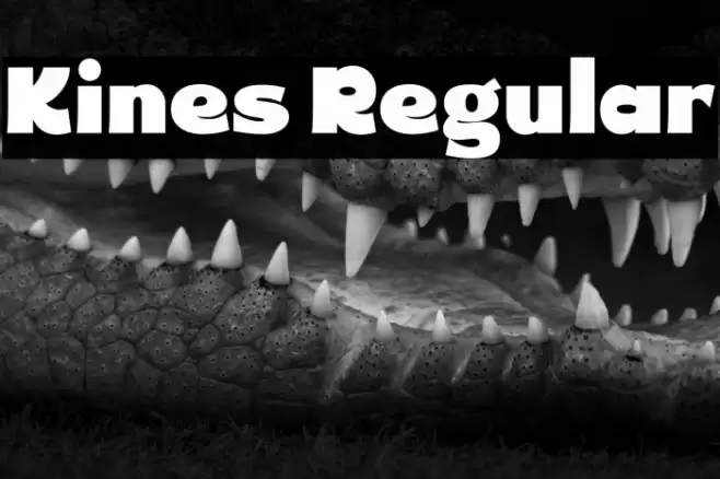 Kines Regular Caratteri examples