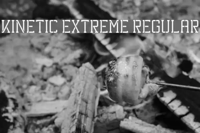 Kinetic Extreme Regular Font examples