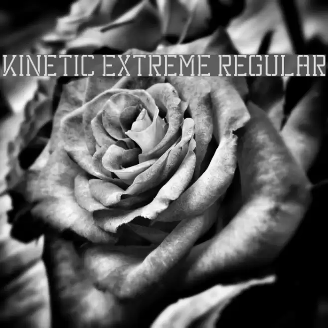 Kinetic Extreme Regular Font examples