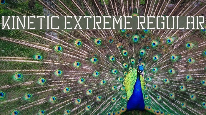 Kinetic Extreme Regular Font examples