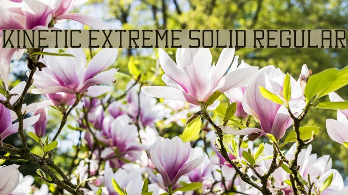 Kinetic Extreme Solid Regular Font examples