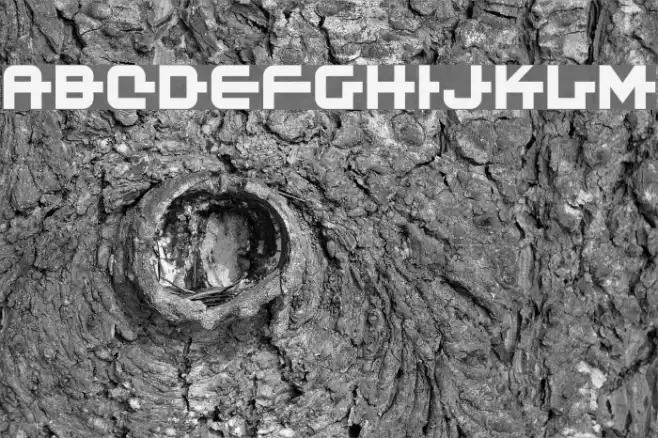 Kinex 2 Font examples