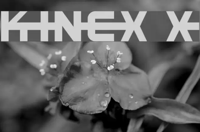 Kinex X Font examples