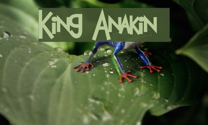 King Anakin 2 Font examples