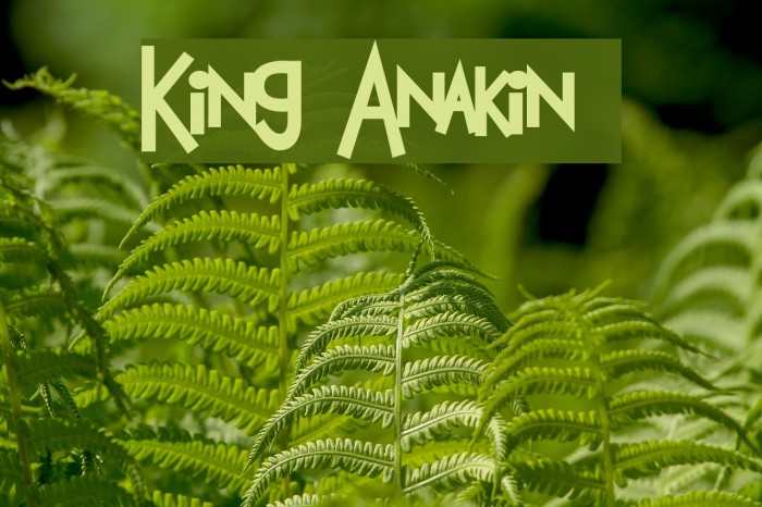 King Anakin 2 Font examples