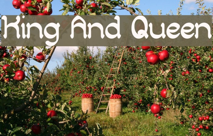 King And Queen Font examples