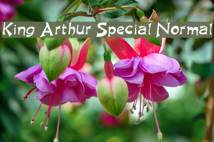 King Arthur Special Normal Font examples