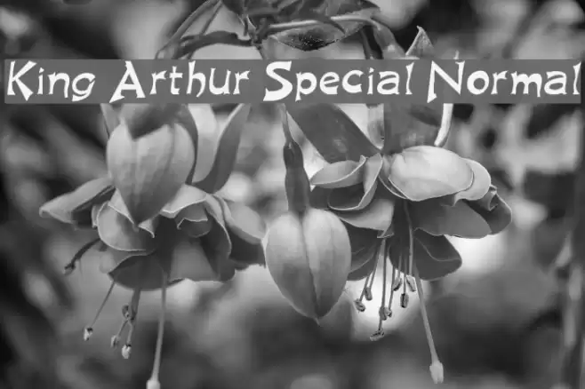 King Arthur Special Normal Шрифта examples