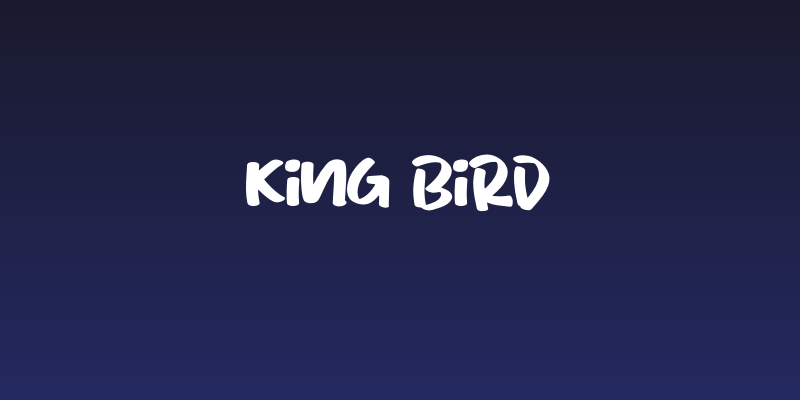 King Bird Social Header