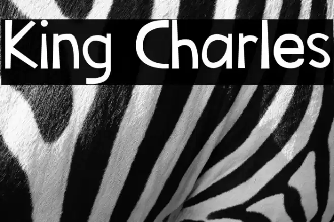 King Charles Font examples