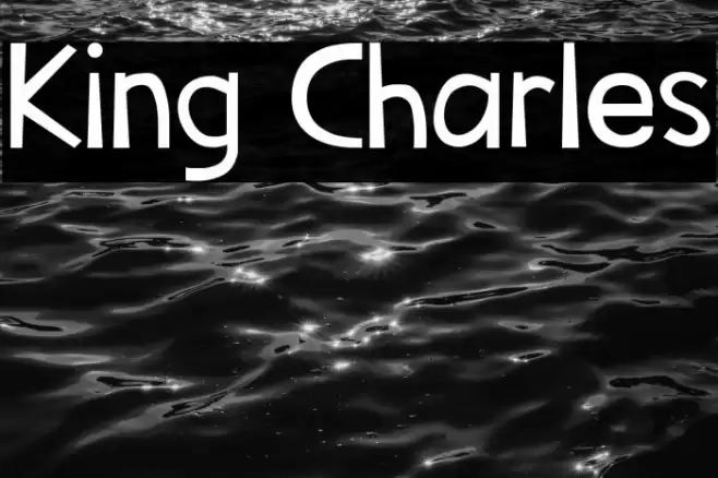 King Charles Font examples