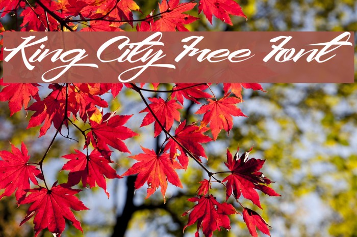 King City Free Font Font examples