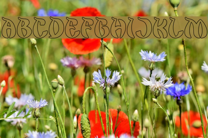 King Cobra-Hollow Font examples