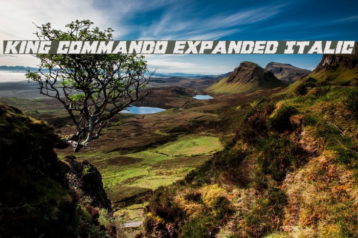 King Commando Expanded Italic Example 1