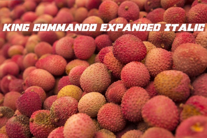 King Commando Expanded Italic Example 3