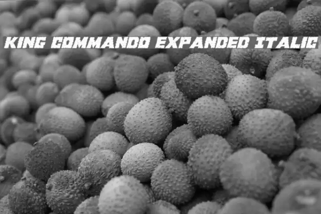 King Commando Expanded Italic Font examples