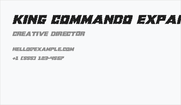 King Commando Expanded Italic Business Card