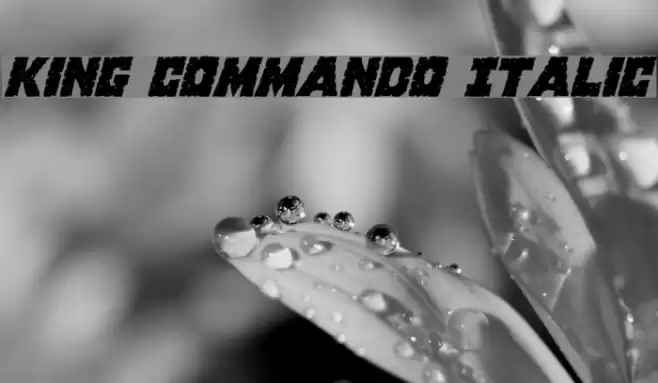 King Commando Italic Font examples