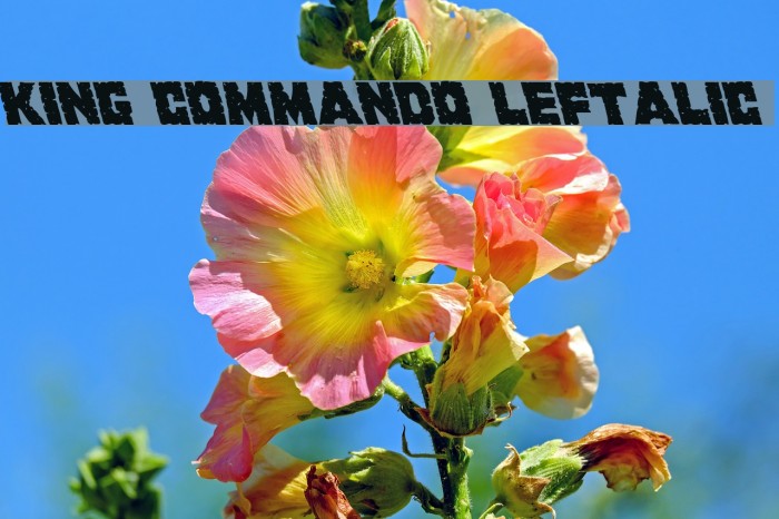 King Commando Leftalic Font examples