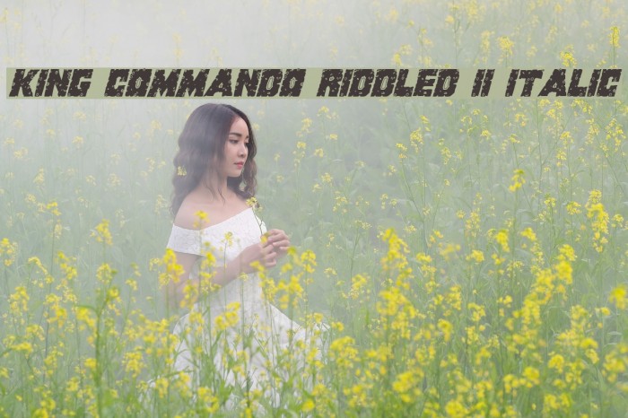King Commando Riddled II Italic Font examples