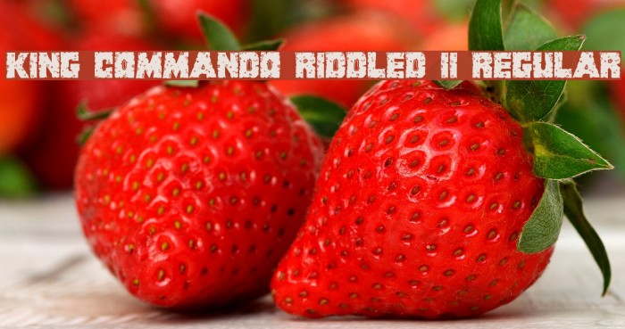 King Commando Riddled II Regular Example 1