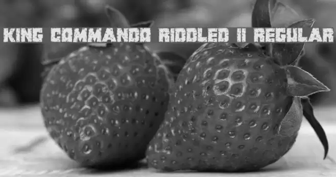 King Commando Riddled II Regular Font examples