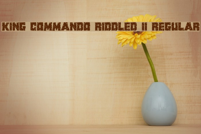 King Commando Riddled II Regular Example 2