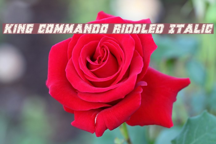 King Commando Riddled Italic Font examples