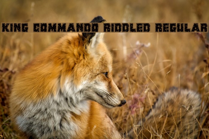 King Commando Riddled Regular Font examples