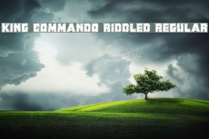 King Commando Riddled Regular Font examples