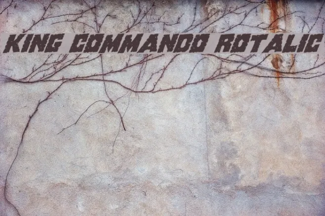 King Commando Rotalic Example 1