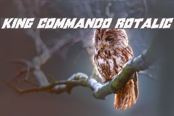 King Commando Rotalic Font examples
