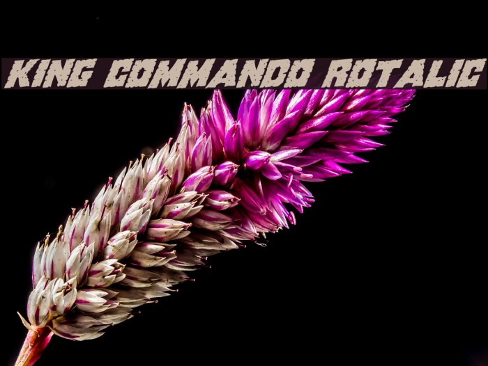 King Commando Rotalic Font examples