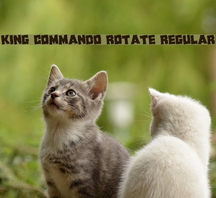King Commando Rotate Regular Font examples