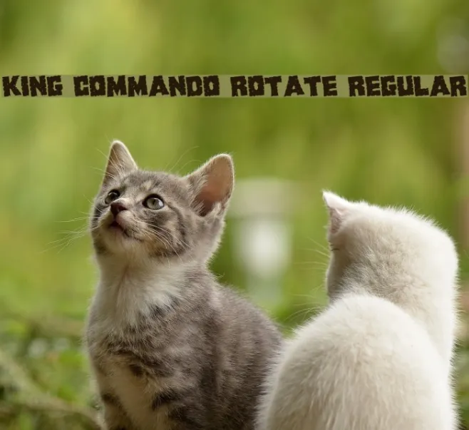 King Commando Rotate Regular Example 1