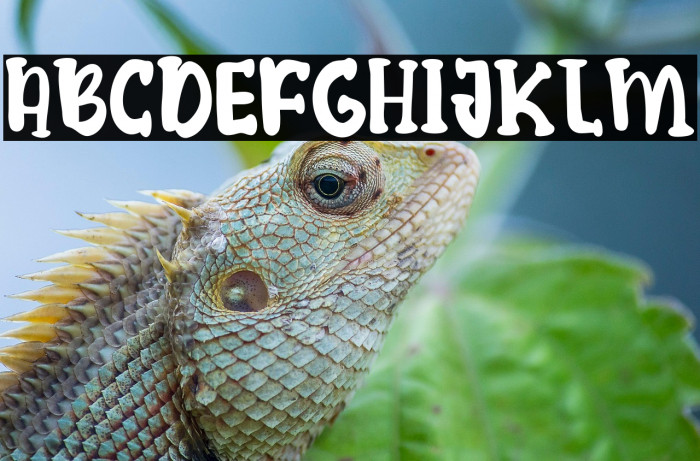 King Crabs Example 1