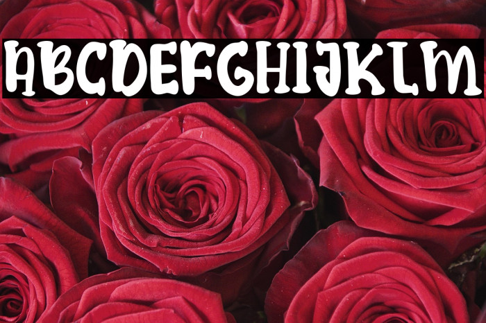 King Crabs Example 3