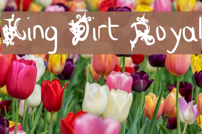King Dirt Royal Font examples