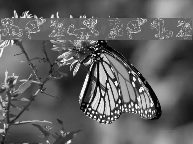 King Lion Font examples