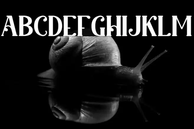 King Lounpera Solid Font examples