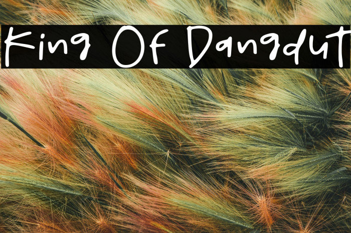 King Of Dangdut Example 2
