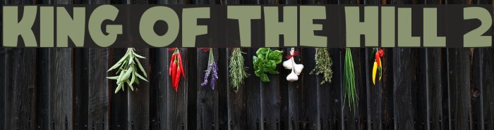 King Of The Hill 2 Example 1